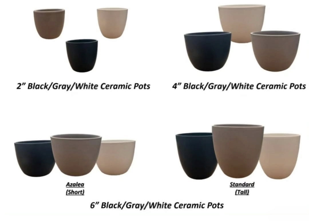Ceramic Tapered Collection