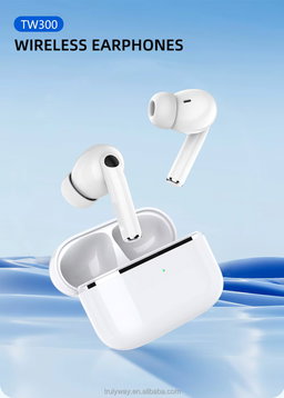 TW550 Earbuds