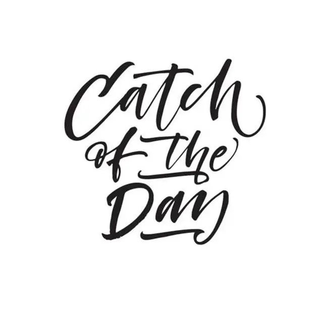 Catch Of The Day