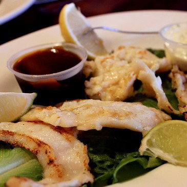 Conch_0
