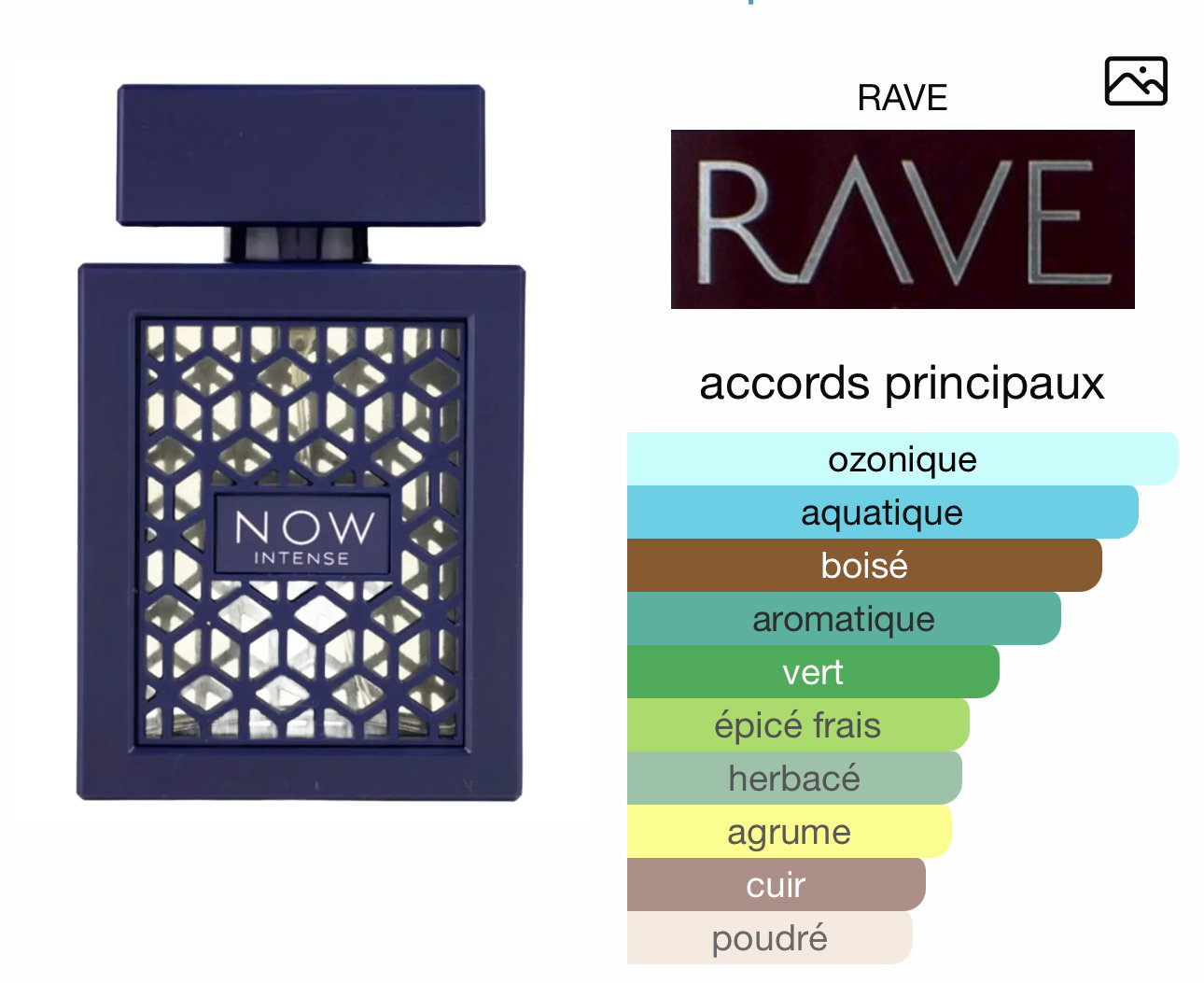 Now Intense RAVE_0