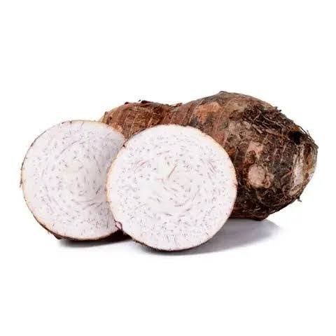 Arrow root