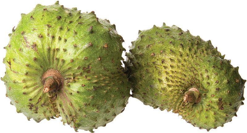Soursop _0