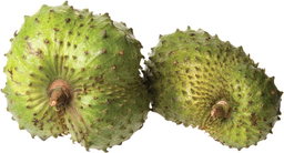Soursop 
