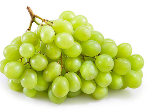 Grapes_5
