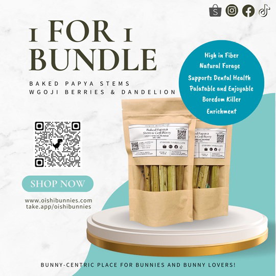 1 For 1 Special Bundle! Baked Papaya Stems with Goji Berry (25g + 25g)_0