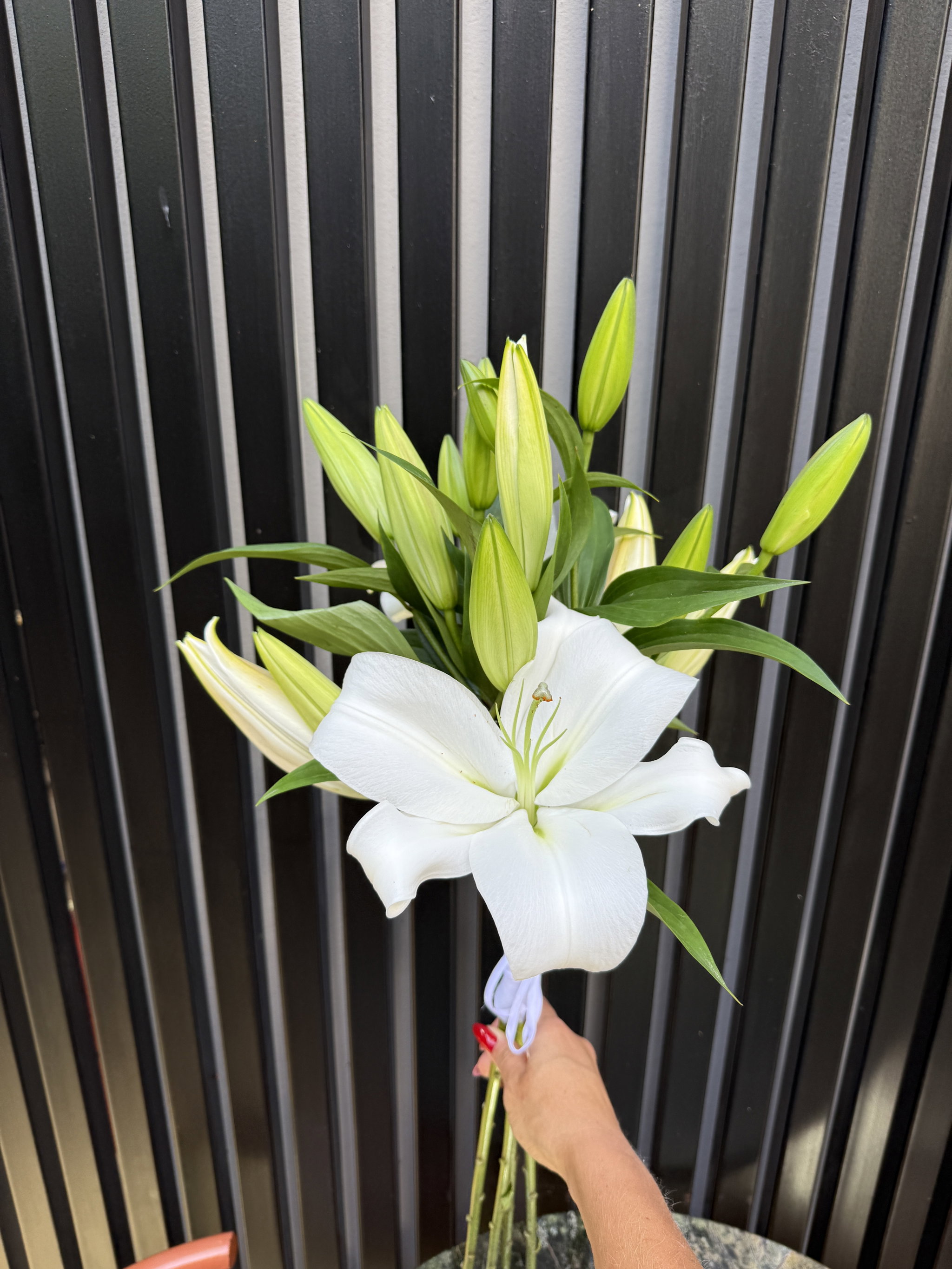 Bride bouquet 🤍_2