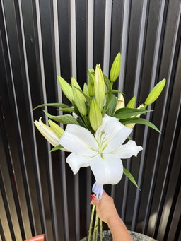 Bride bouquet 🤍