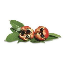 Ackee 