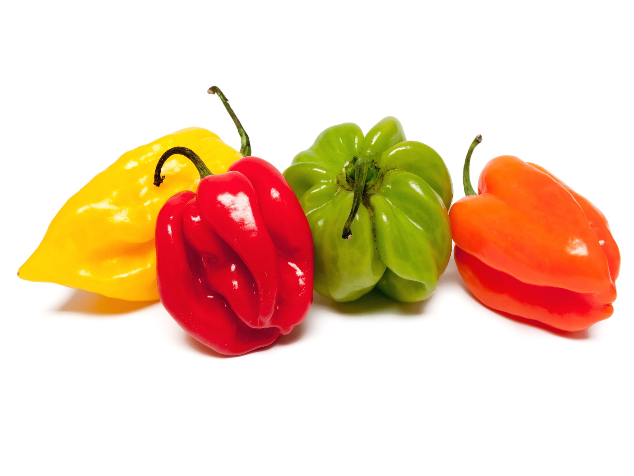 Hot Pepper _2
