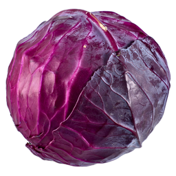 Cabage 