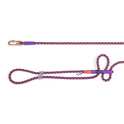 ZeeDog X Reebok Court Handsfree Leash