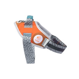 ZeeDog X Reebok Suede Fly Harness