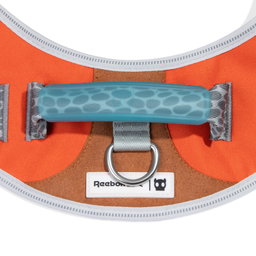 ZeeDog X Reebok Suede Fly Harness