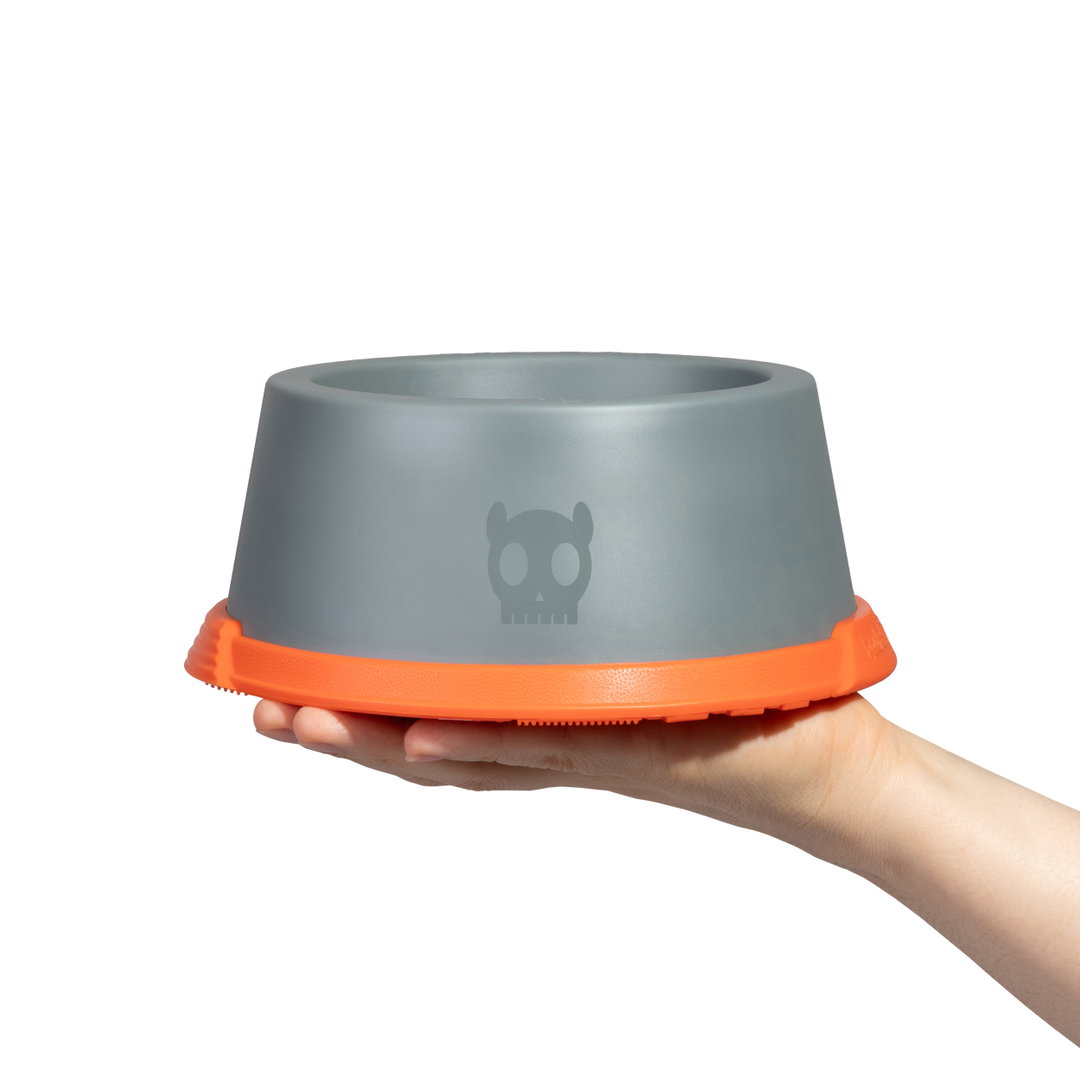 ZeeDog X Reebok Suede Melamine Bowl