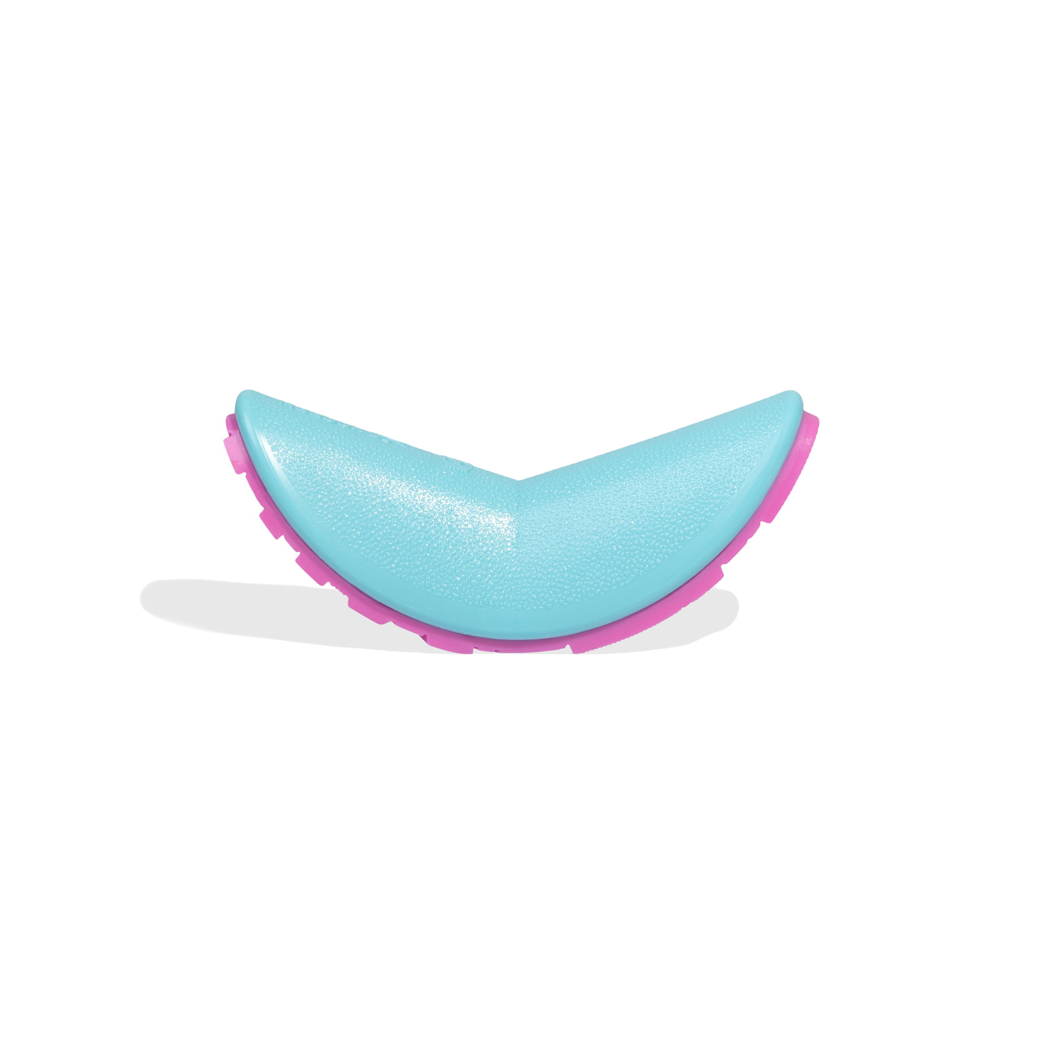 ZeeDog X Reebok Aerobic Boomerang Toy_0