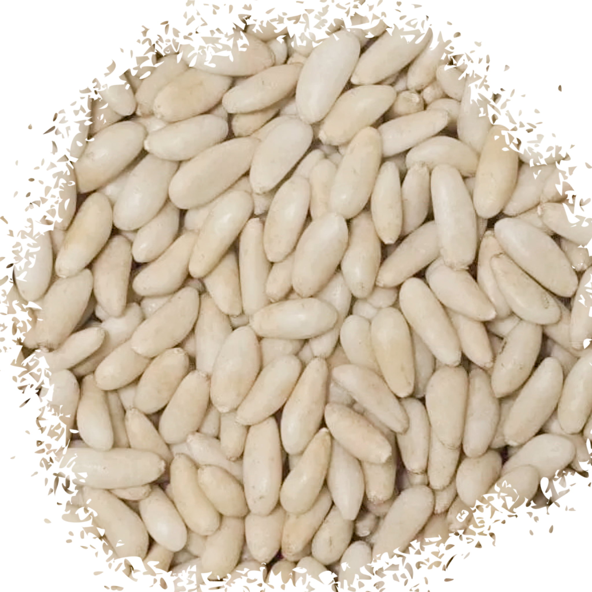 Extra Lebanese Ras Al Matn pine nuts صنوبر بلدي اكسترا راس المتن_0