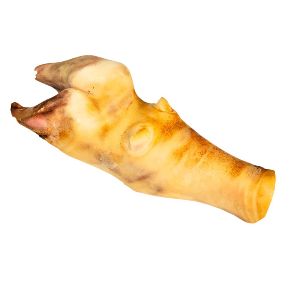 Beef Paya & Soup Bones _3