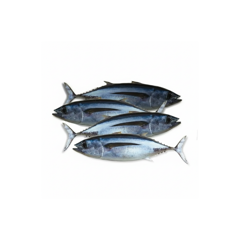 Tongkol utuh 500gram