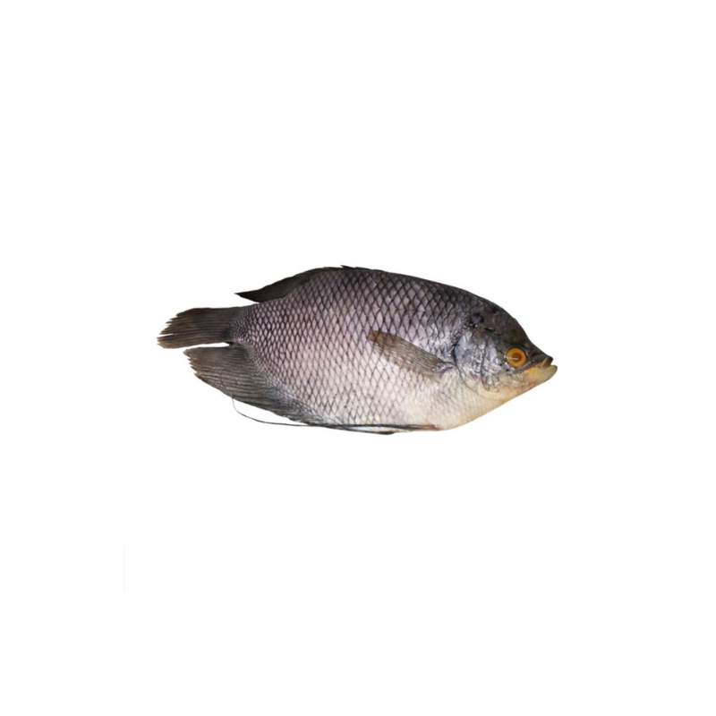 Gurame 300-400gram_0