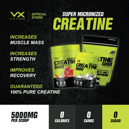 VITAXTRONG™ Creatine Monohydrate (330g) | Super Micronized Powder • Muscle Strength & Recovery • Halal [VX]