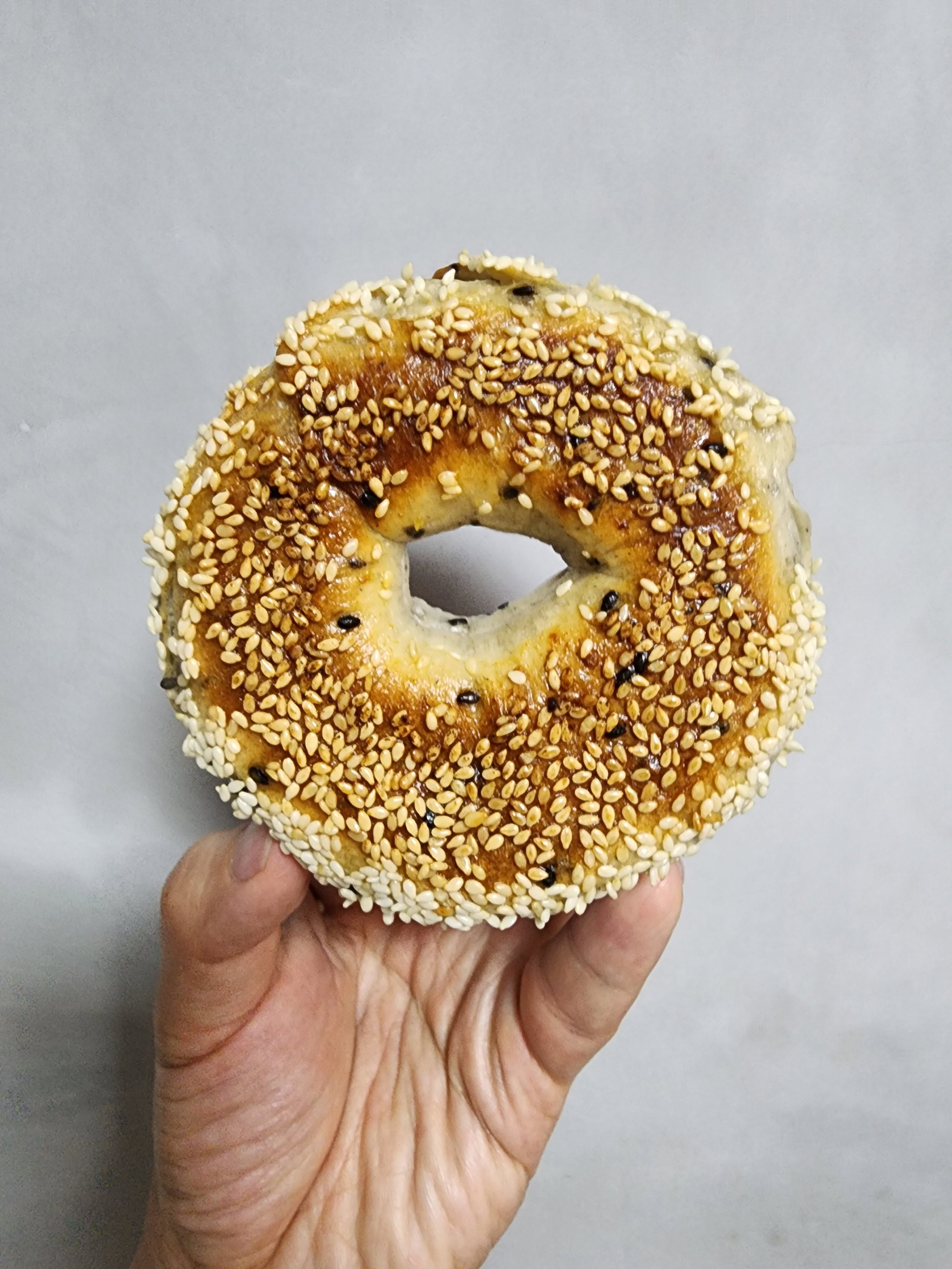 Sesame Bagel_1