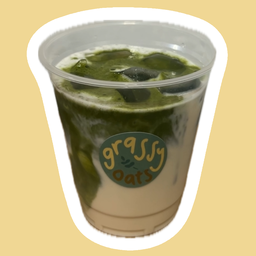 iced oat lattes