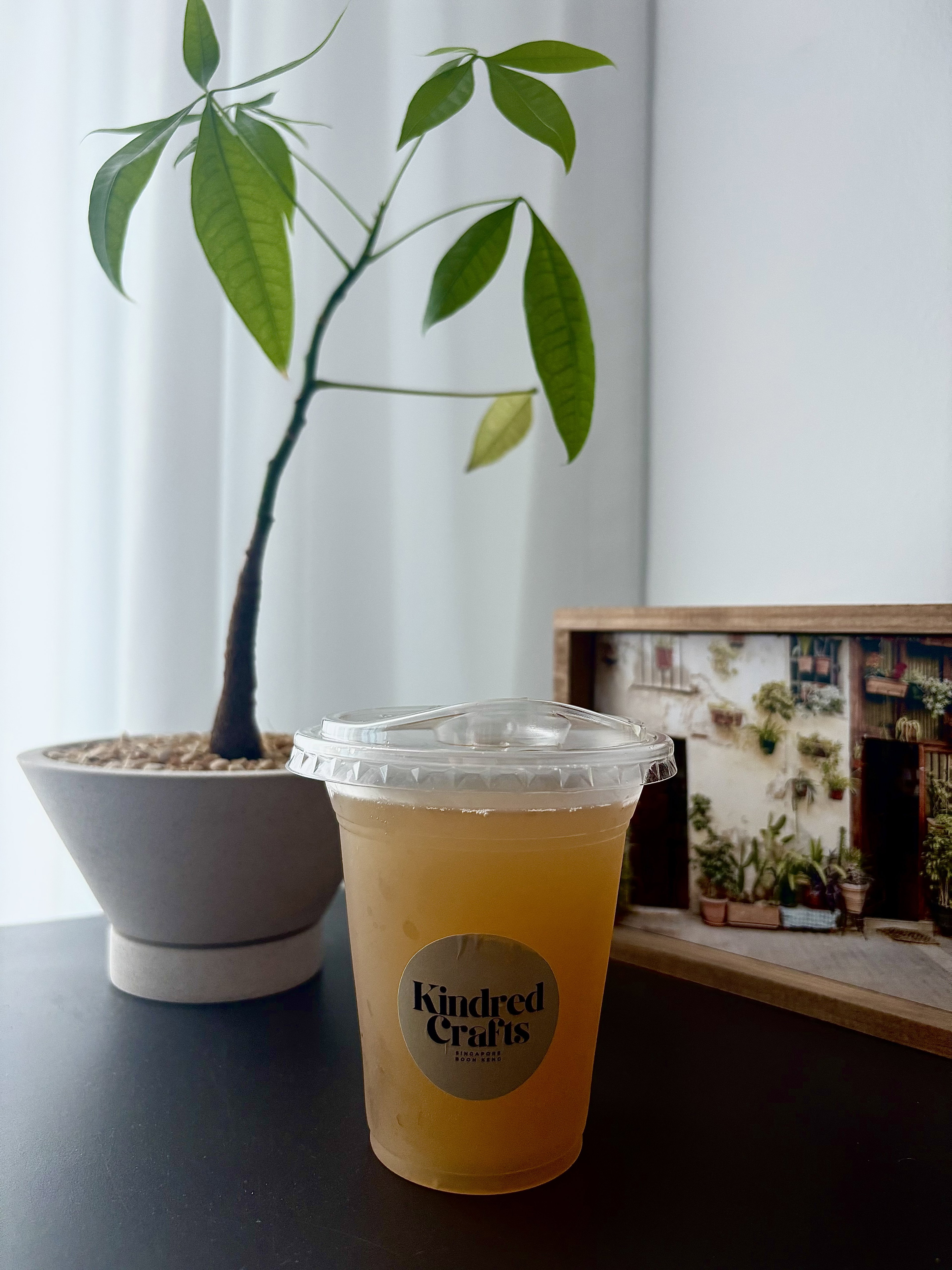 Ginger kombucha