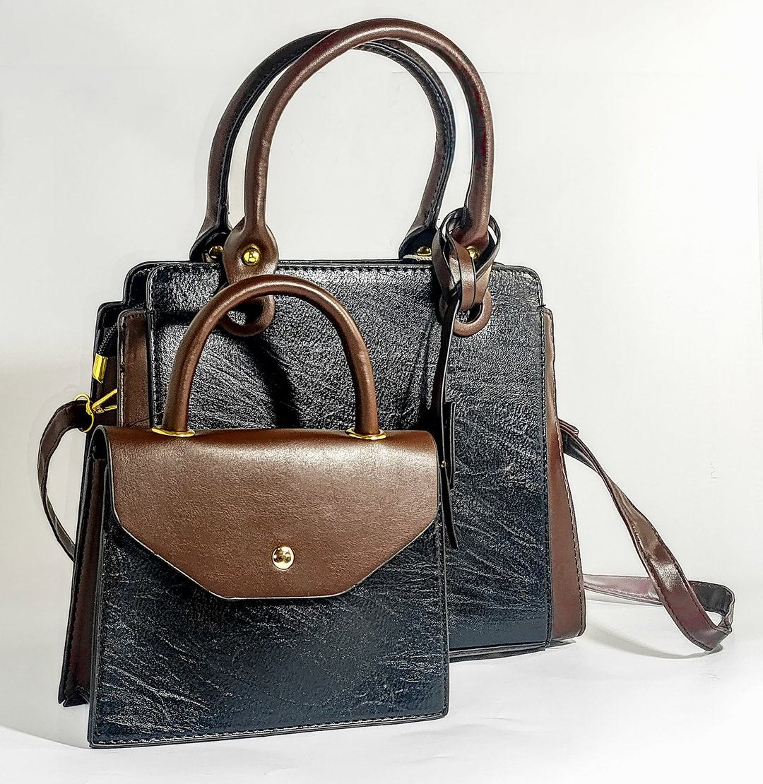 Stylish Two-piece Ladies Handbag Set