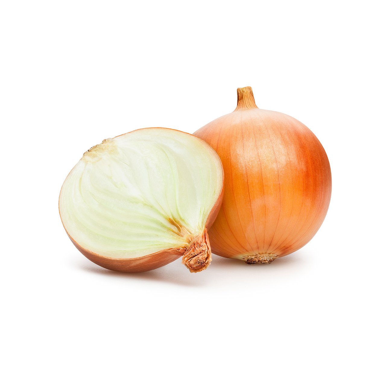 Onion_1