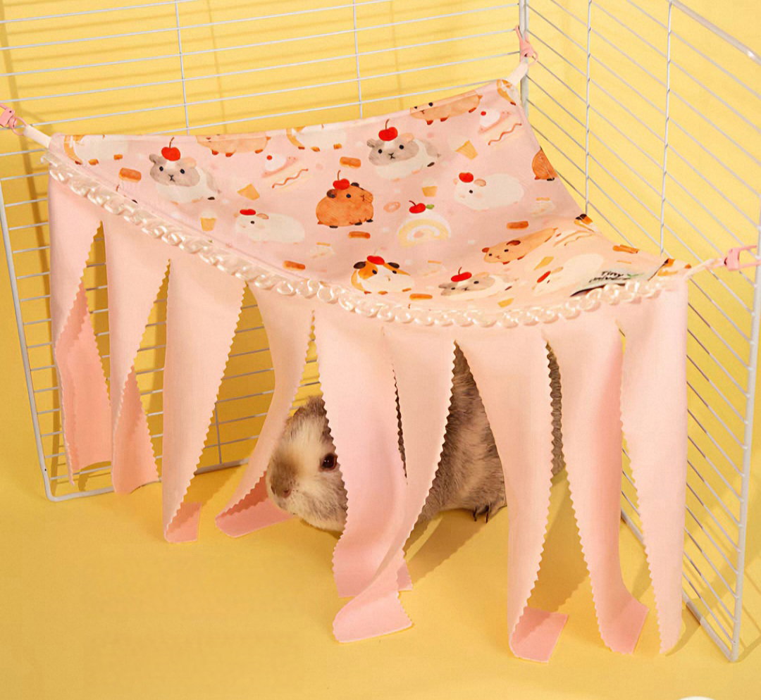 Guinea pig hideout 