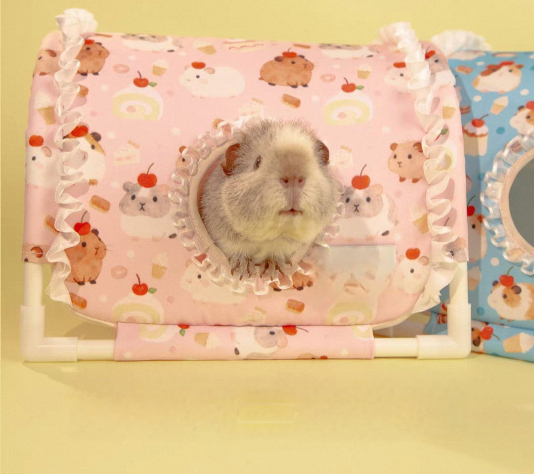 Guinea pig tunnel [pink]