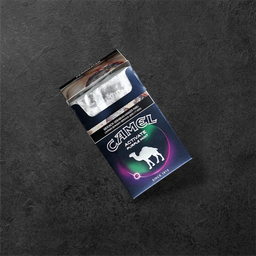 Camel Activate Purple 20's