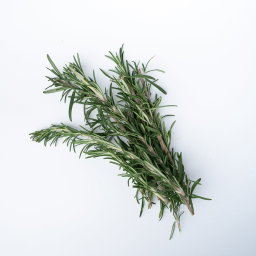 Rosemary 