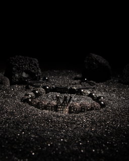Black Crown
