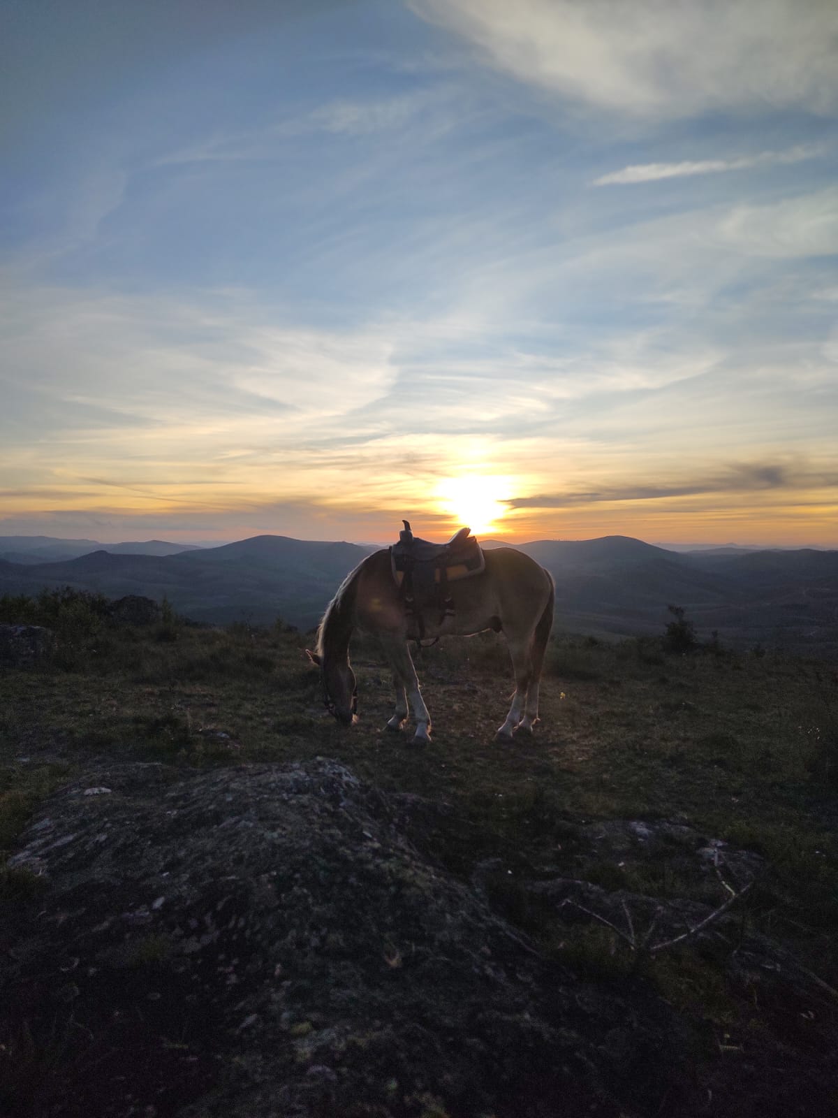 🌄LAVRAS NOVAS A CAVALO_2