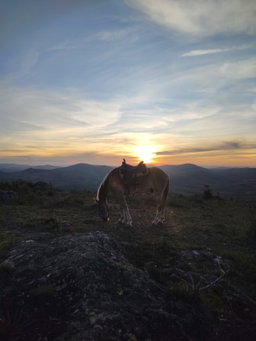 🌄LAVRAS NOVAS A CAVALO