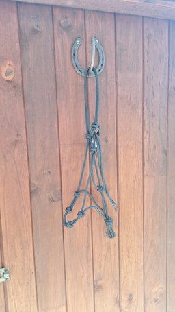 Rope Halters (6 mm rope)