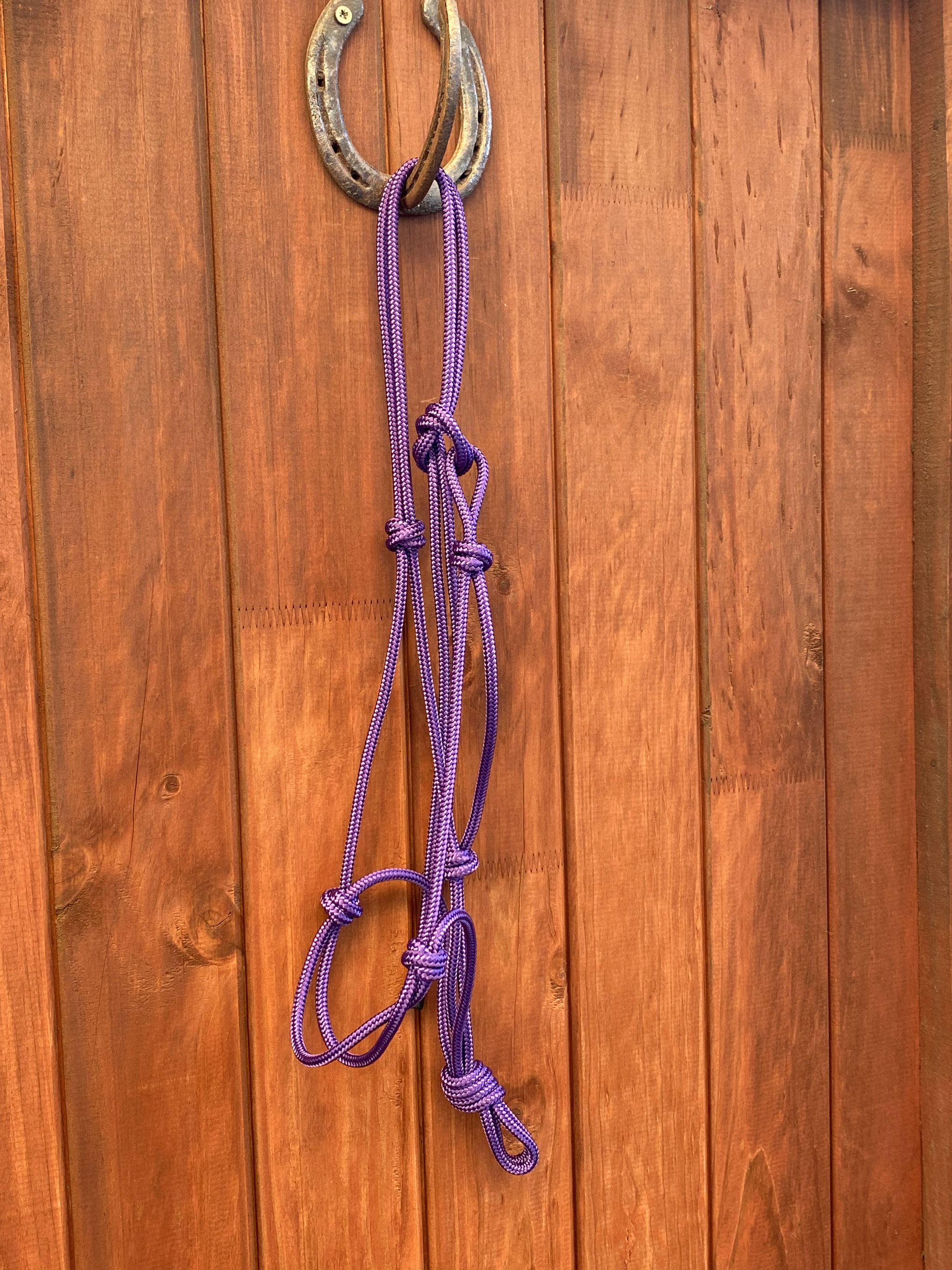 Rope Halter_1
