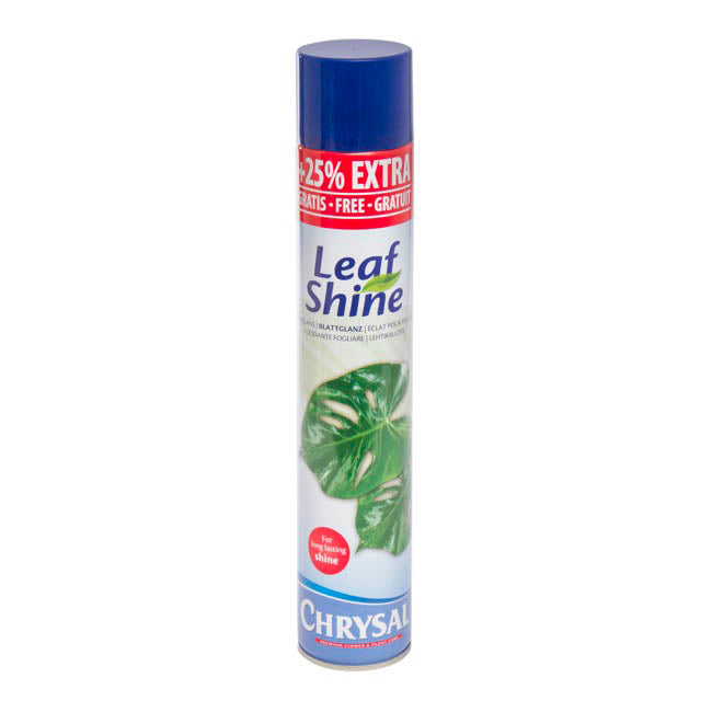Leaf Shine _0