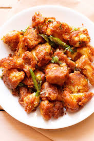  Gobi 65 