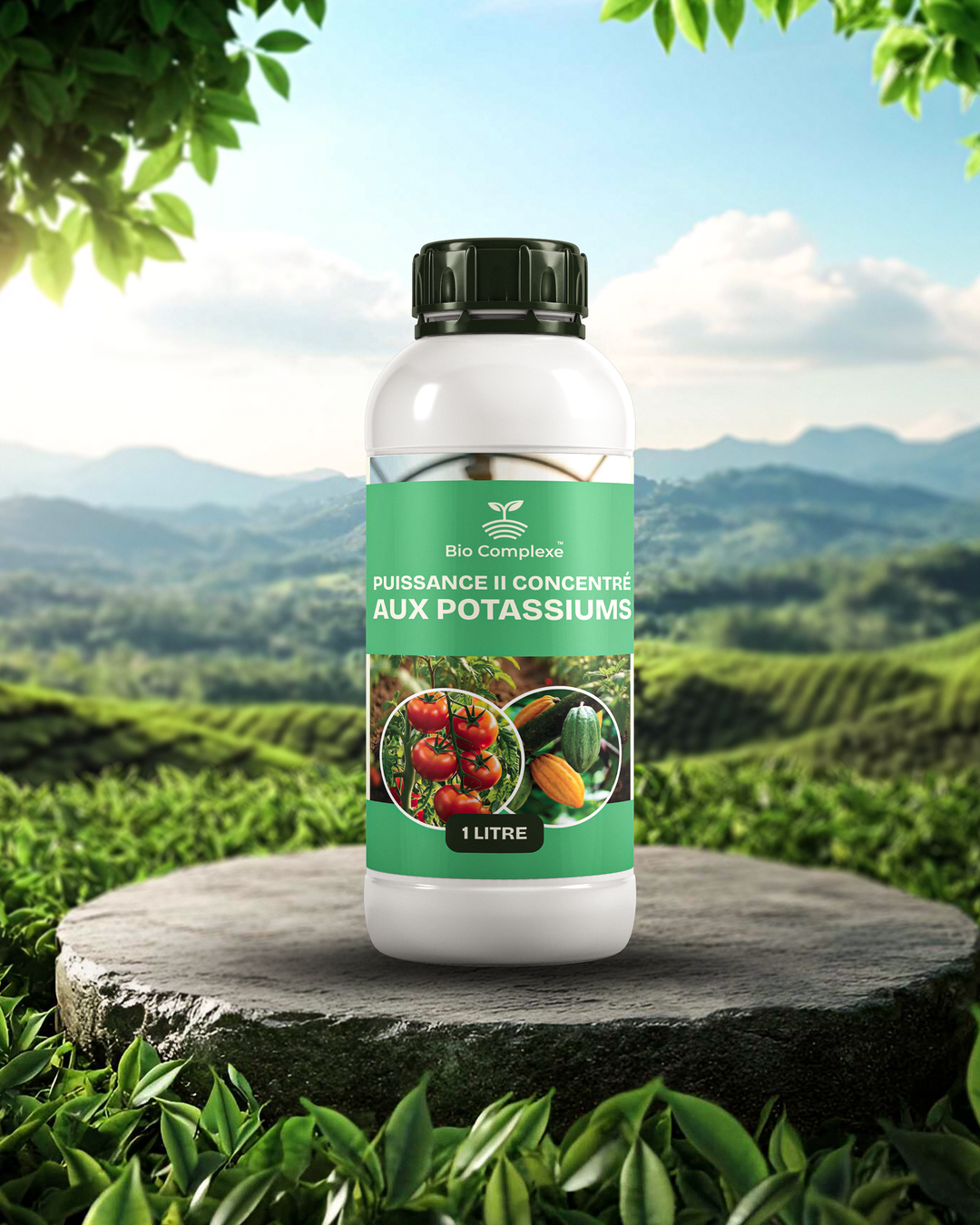 Bio Complexe - Puissance II concentré aux potassiums