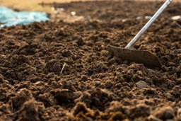 Organic Soil Enhancers