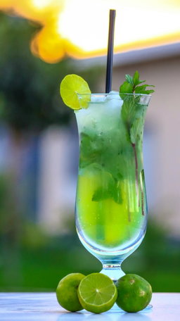 Mint Mojitto