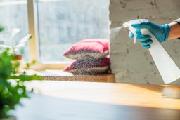 Deep Clean Home Cleaning 