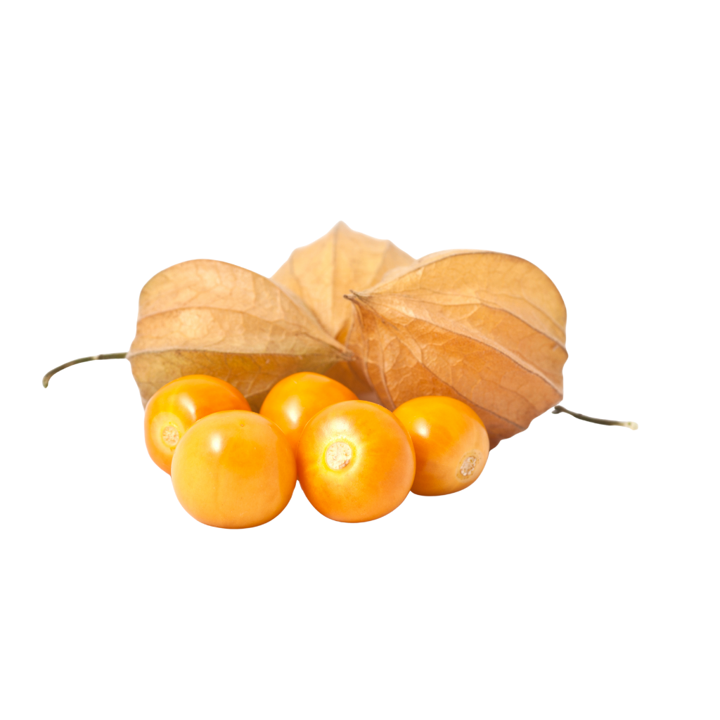 Girl Fruit / Gooseberry (By the Box)