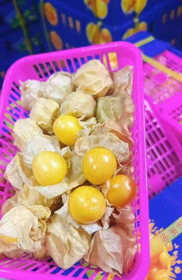 Girl Fruit / Gooseberry (By the Box) 
