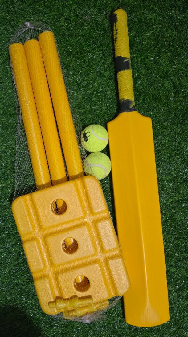 Beginner/ Windball Cricket Kit
