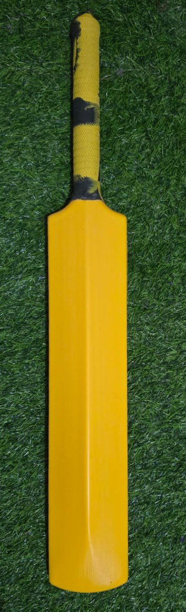 Plastic Bat