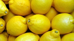 Fragancia Limón Persa